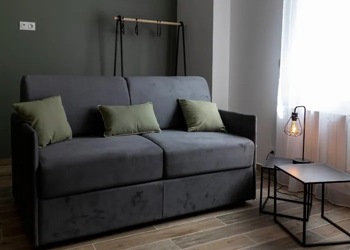 Apartamento Loc Trotteur Le Romarin Gare Sncf De Lourdes